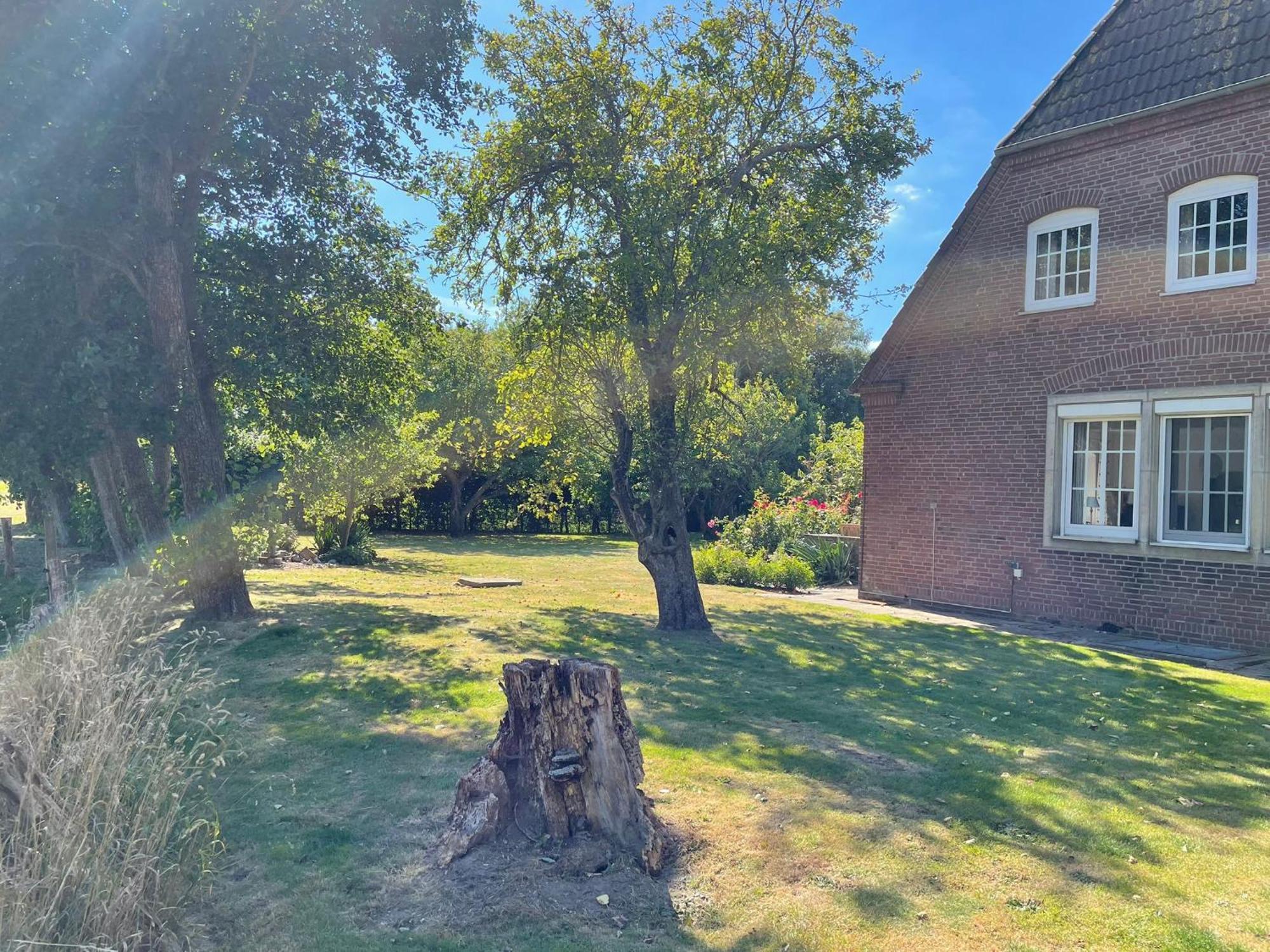 Pension Nordwind Hedwigenkoog ภายนอก รูปภาพ